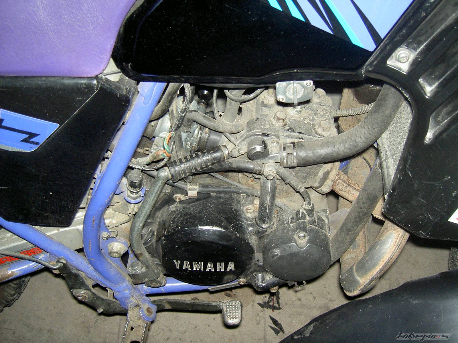 Bike Photo 308364