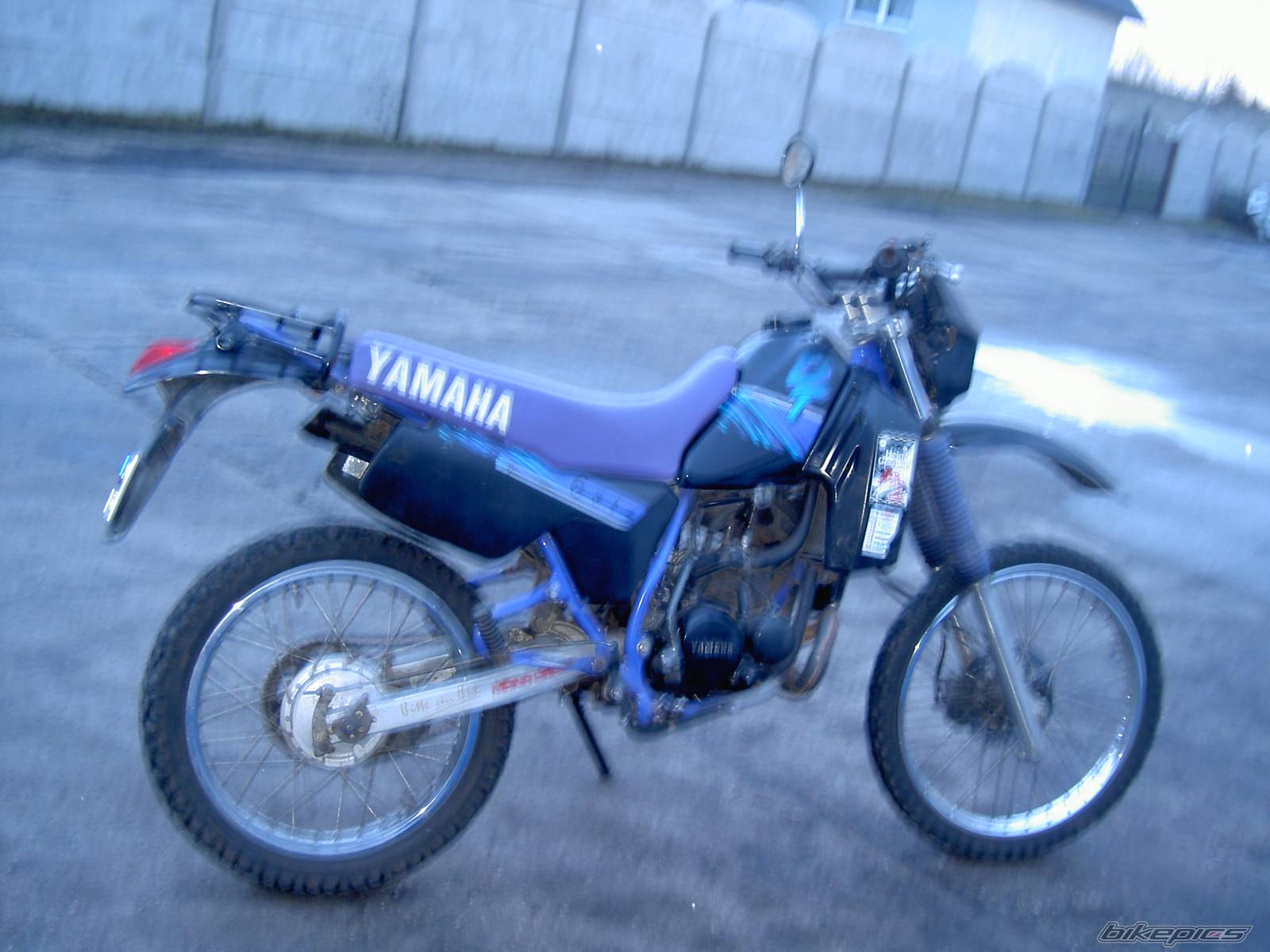 Bike Photo 308367