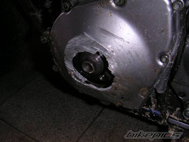 Photo 308375