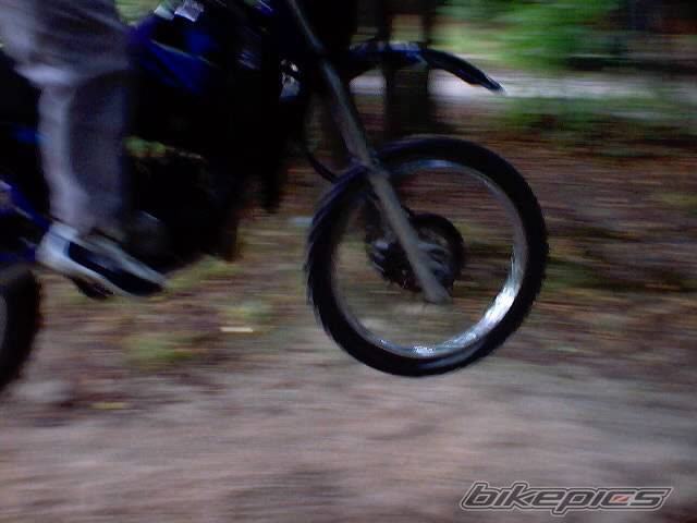 Photo 308380