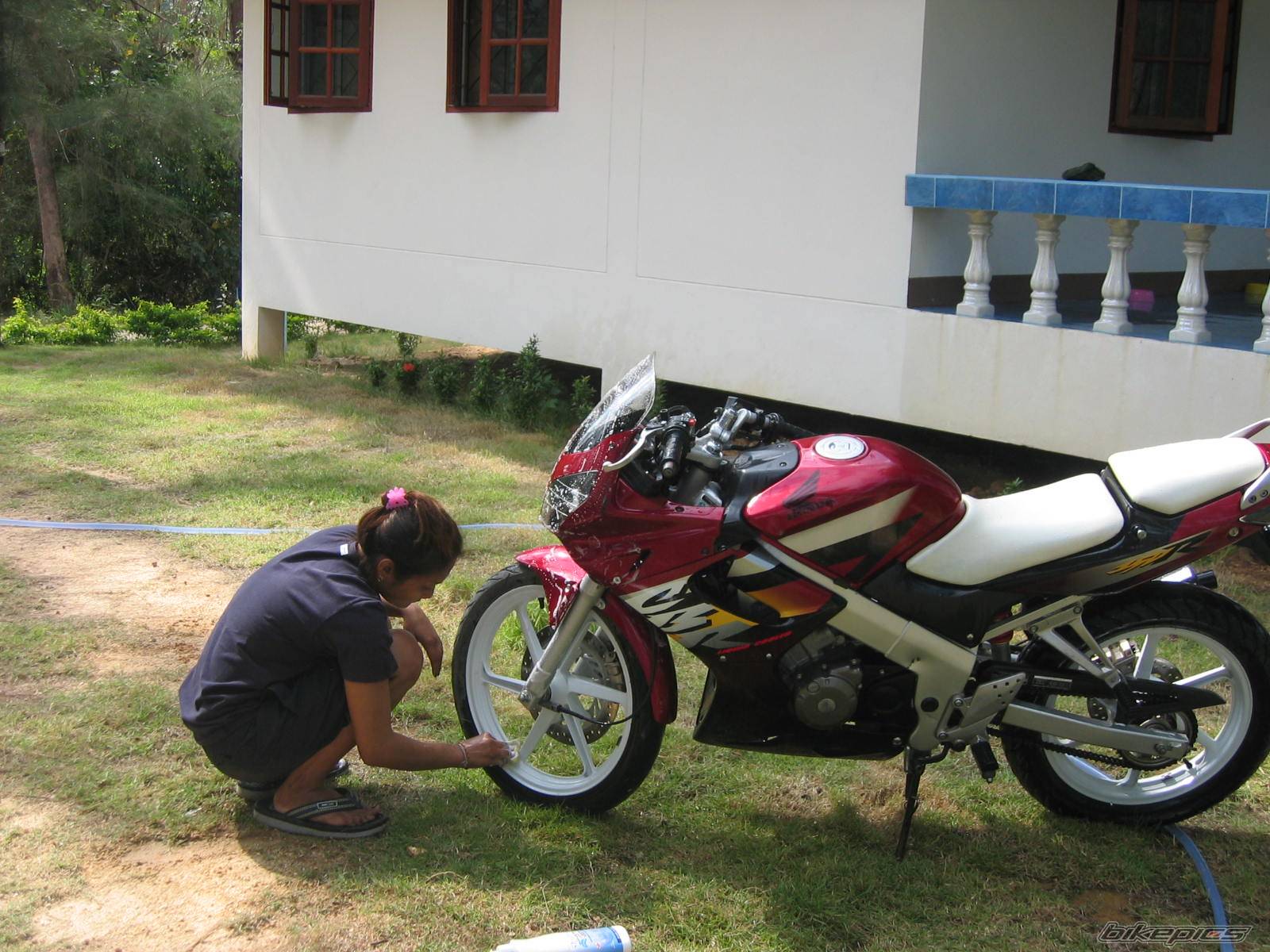 Bike Photo 308382