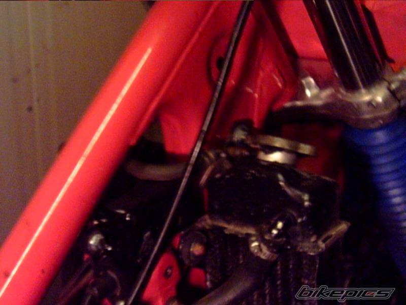 Photo 308435