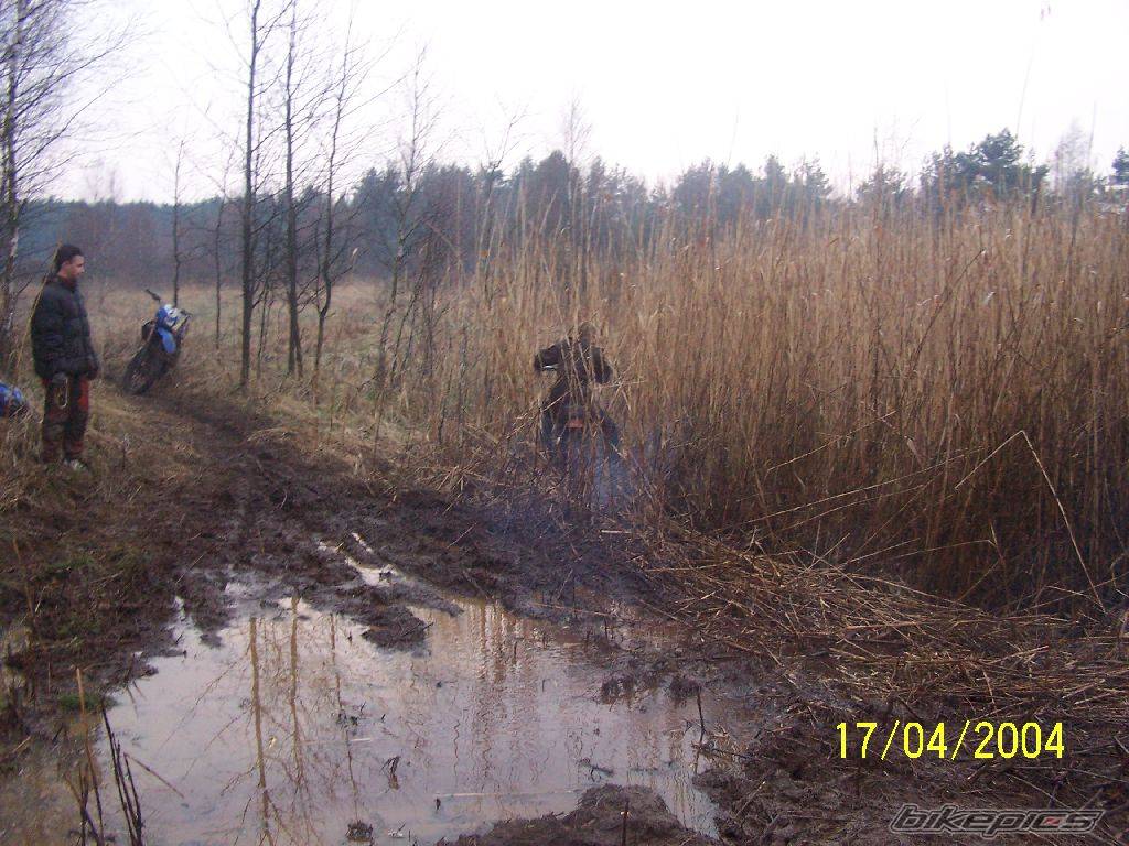 Bike Photo 308455