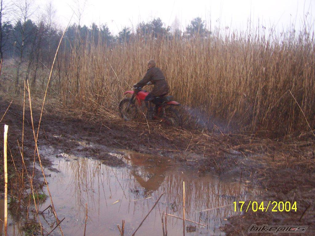 Bike Photo 308456