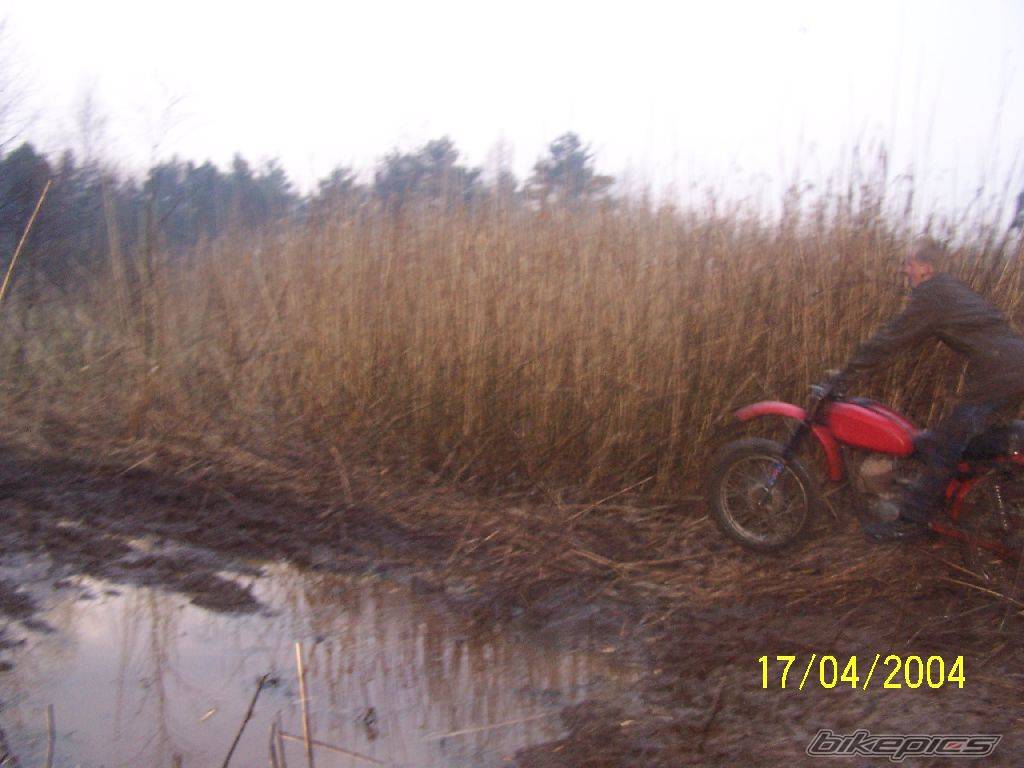 Bike Photo 308457