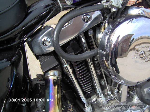 Photo 308605