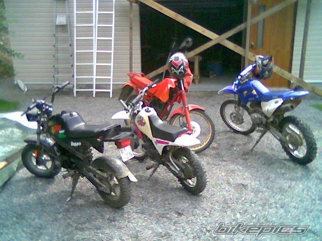 Photo 308709