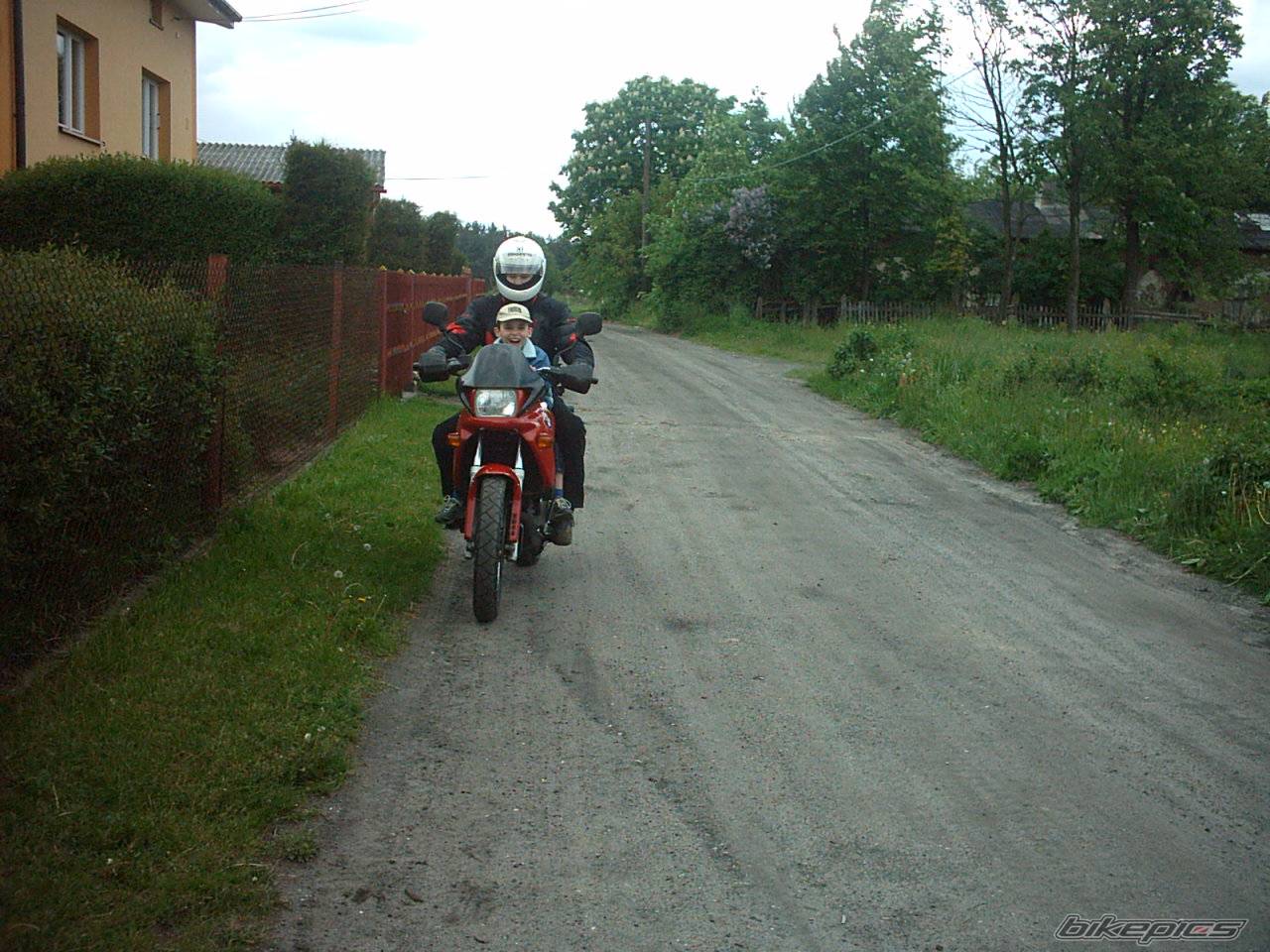 Photo 308762