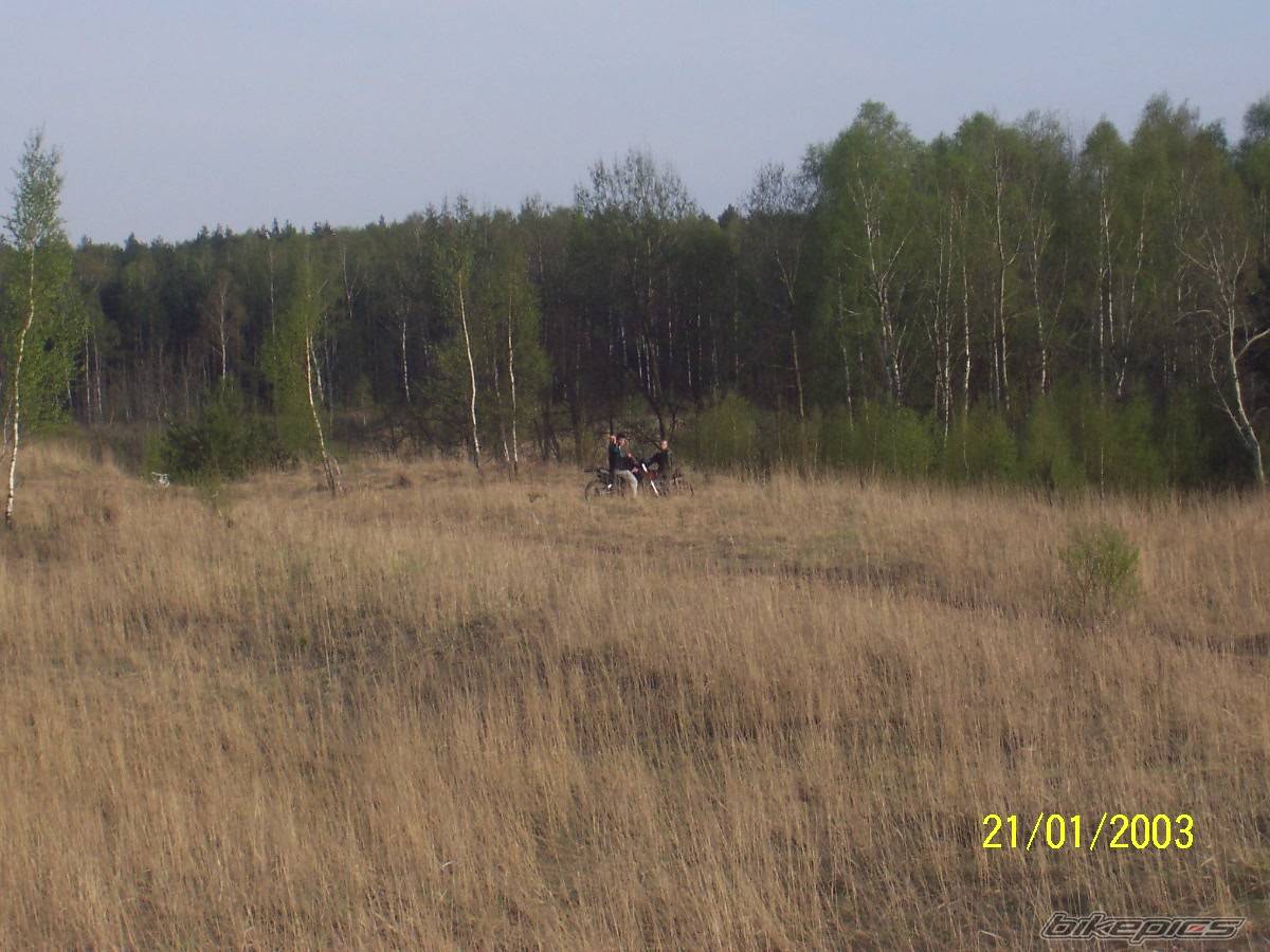 Bike Photo 308775