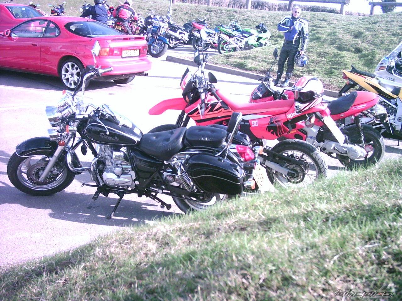 Photo 308933