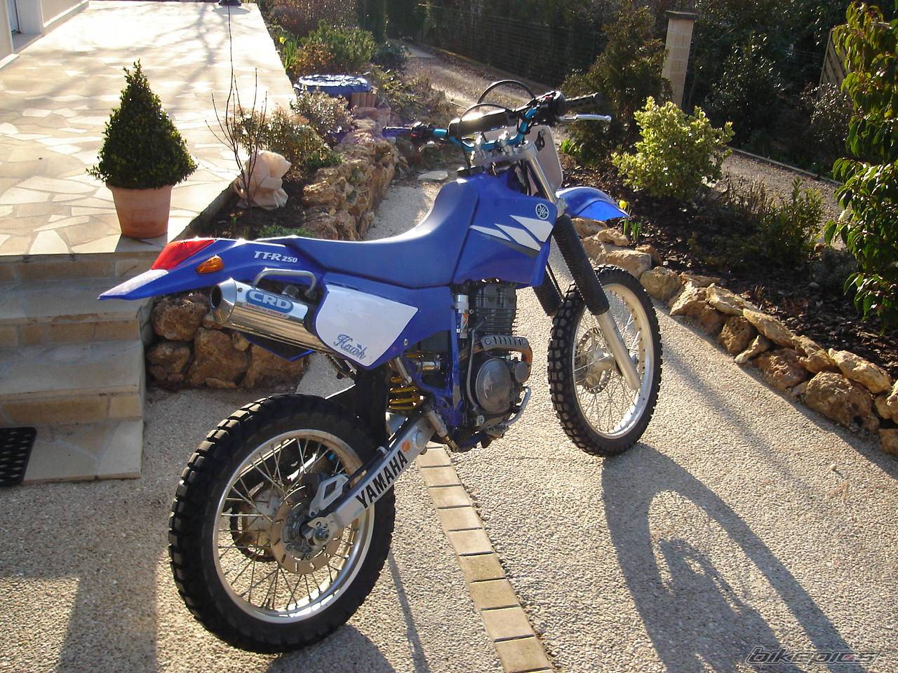Photo 309309