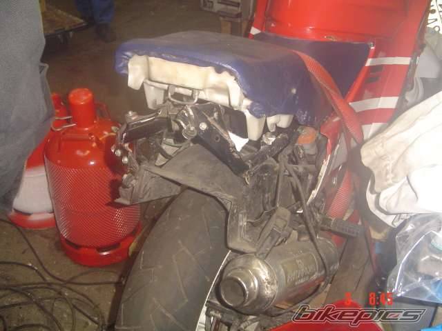 Photo 309374