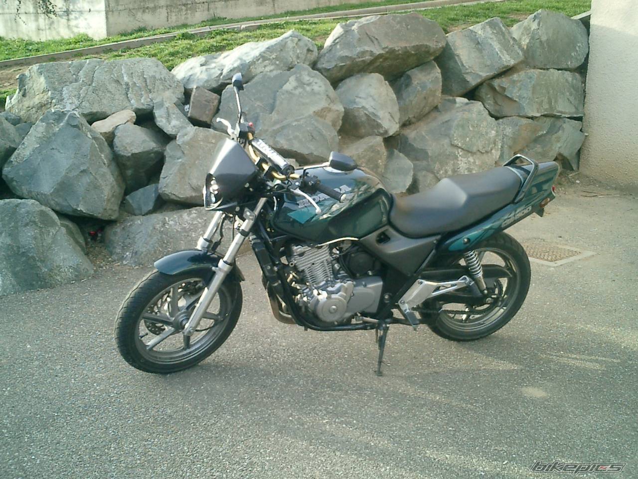 Photo 309379
