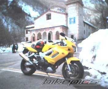 Bike Photo 309399