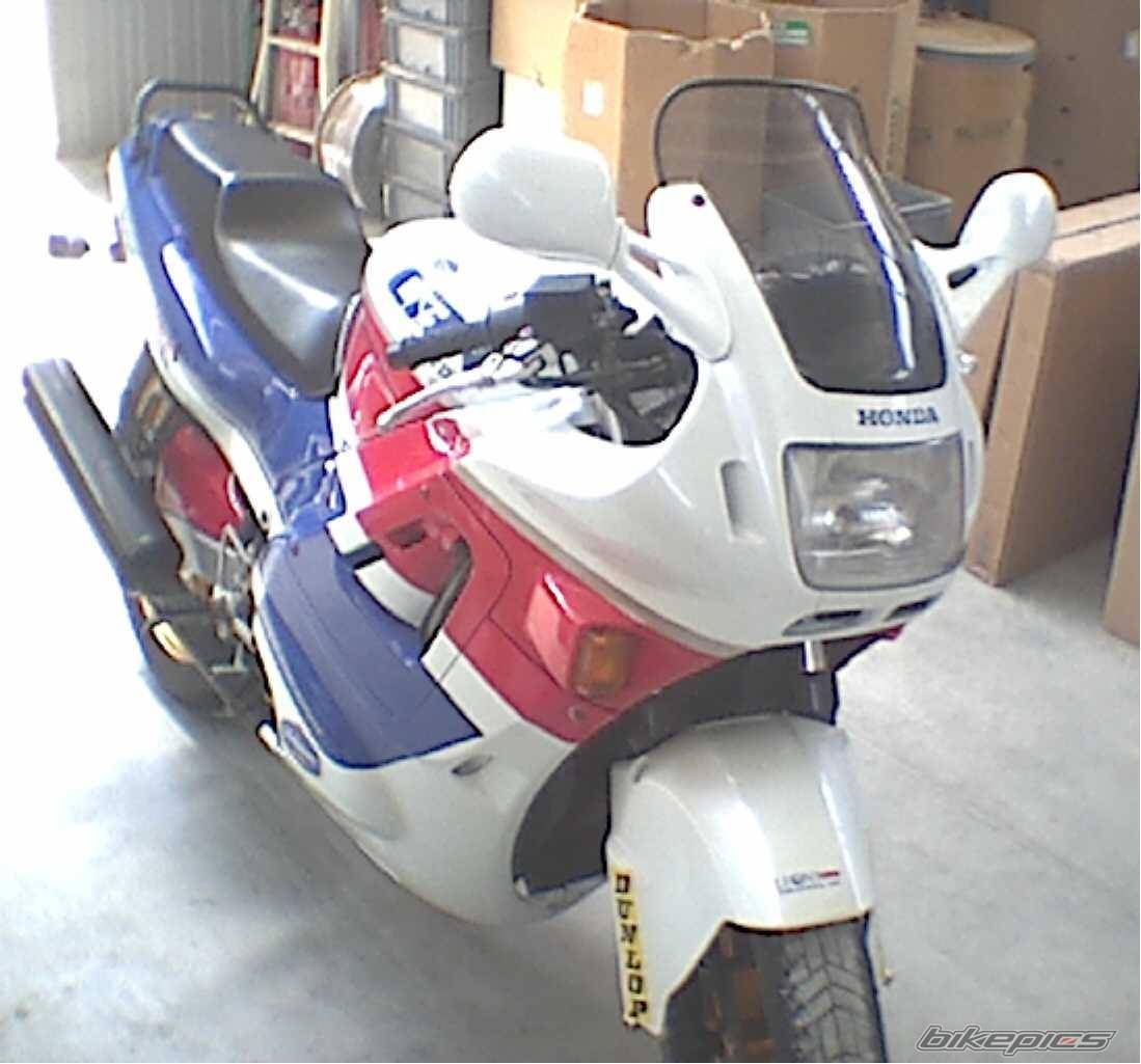 Photo 309402