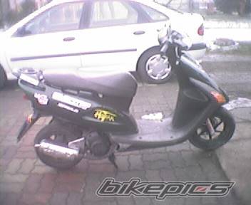 Photo 309423