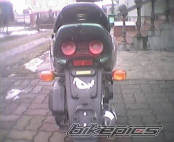 Photo 309434