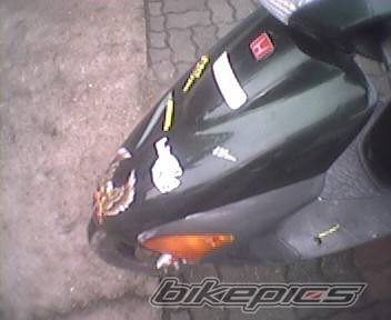 Photo 309440