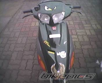 Photo 309443