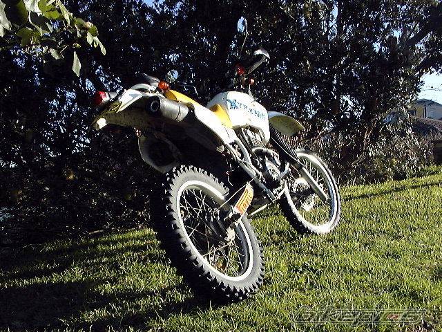 Photo 3095