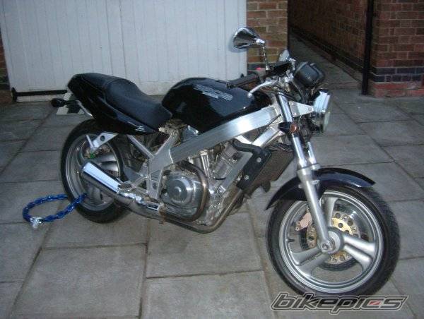 Photo 309601