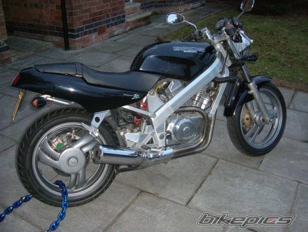 Photo 309605