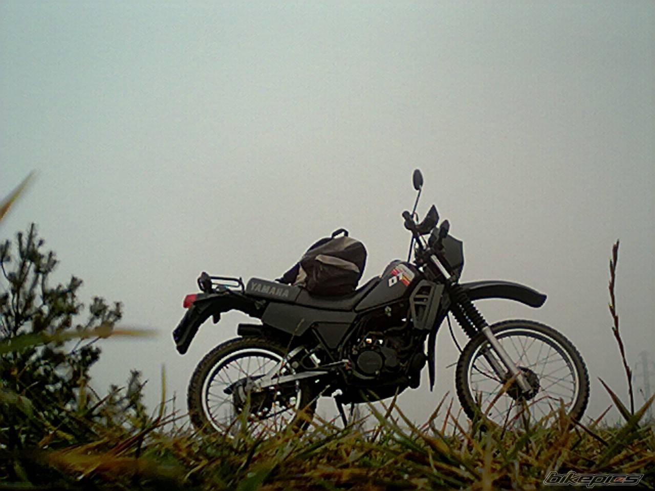 Bike Photo 309620