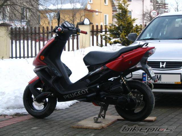 Photo 309627