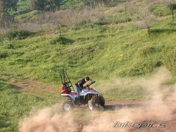 Photo 309677