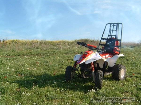 Photo 309678
