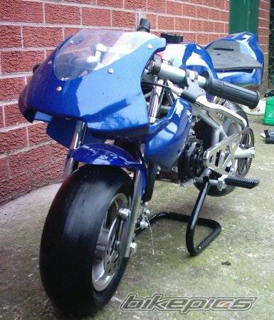 Photo 309683