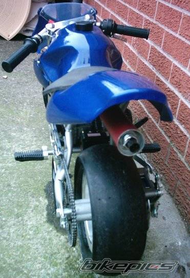 Photo 309684