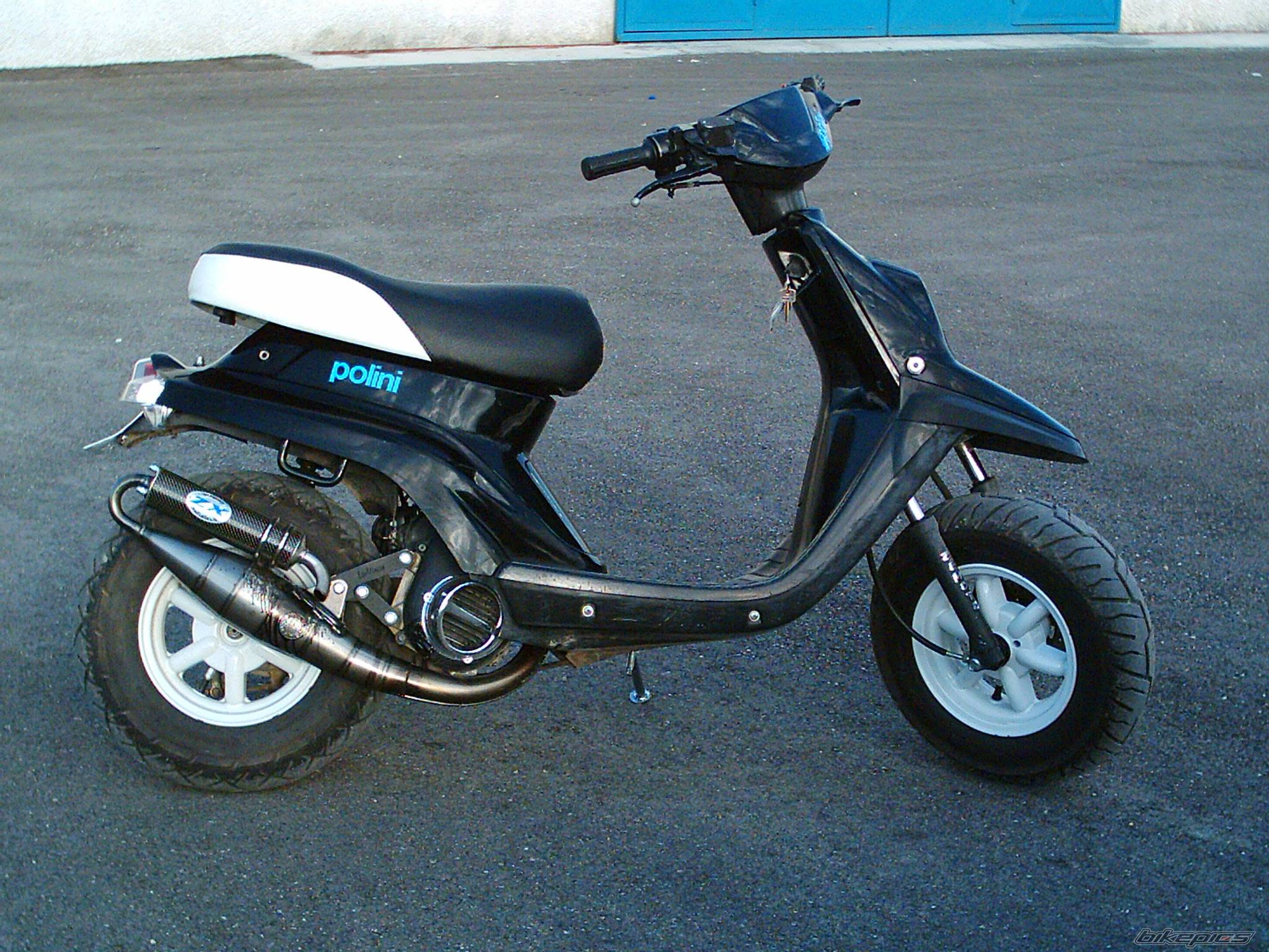 Photo 309690