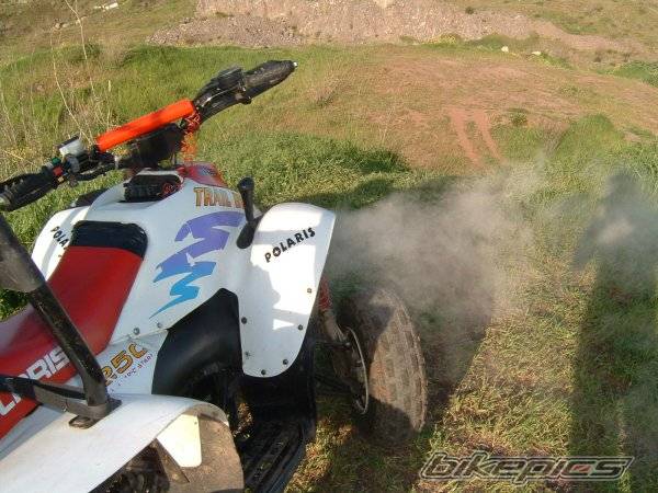 Photo 309692