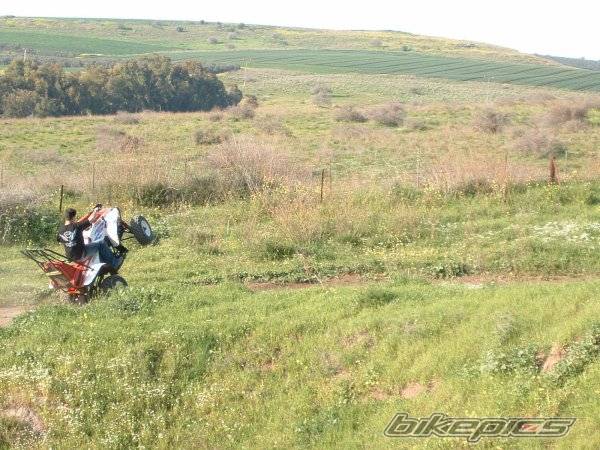 Photo 309693