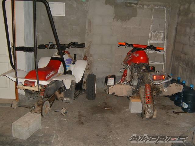 Photo 309694