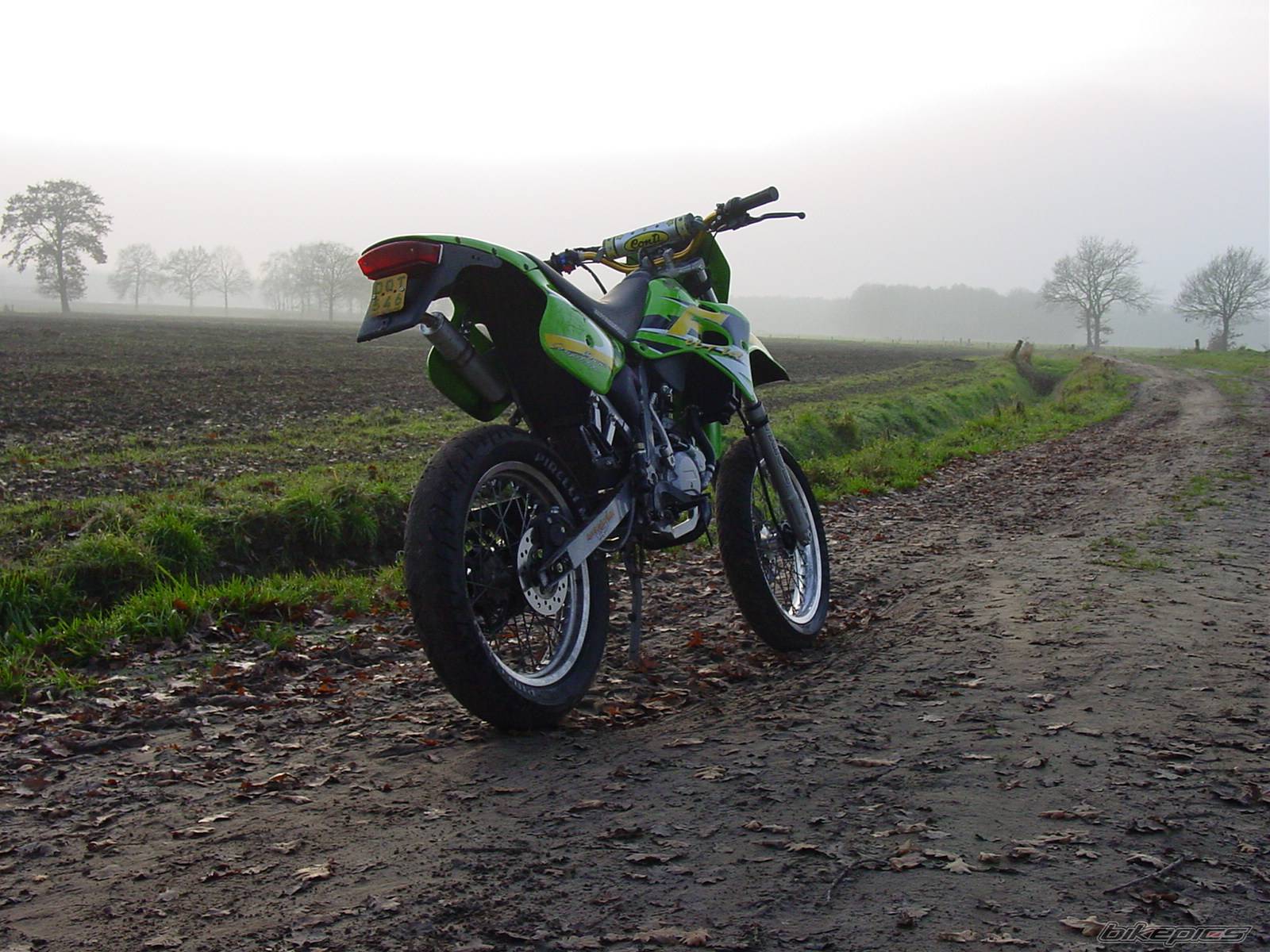 Photo 309714