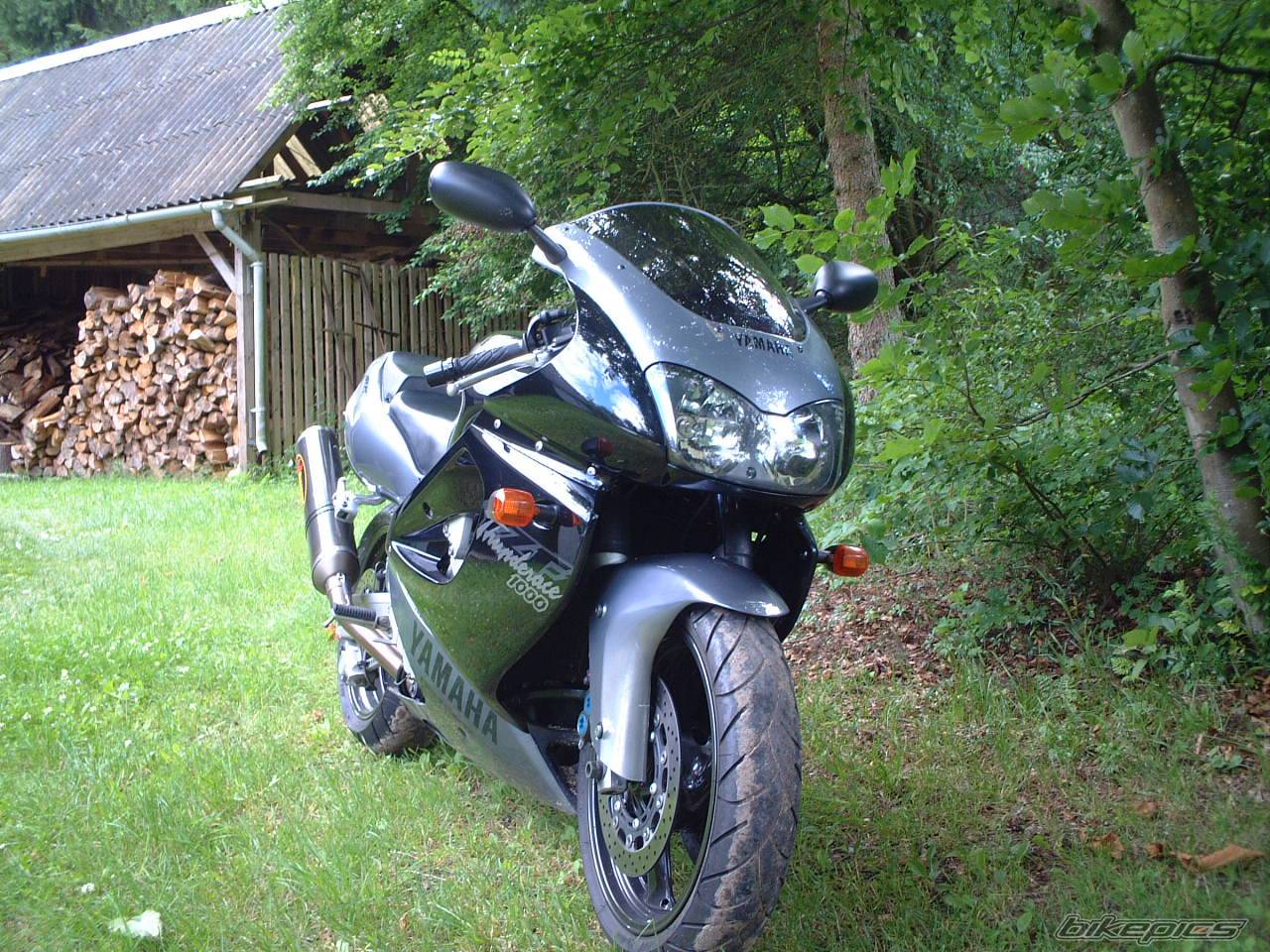 Photo 309728