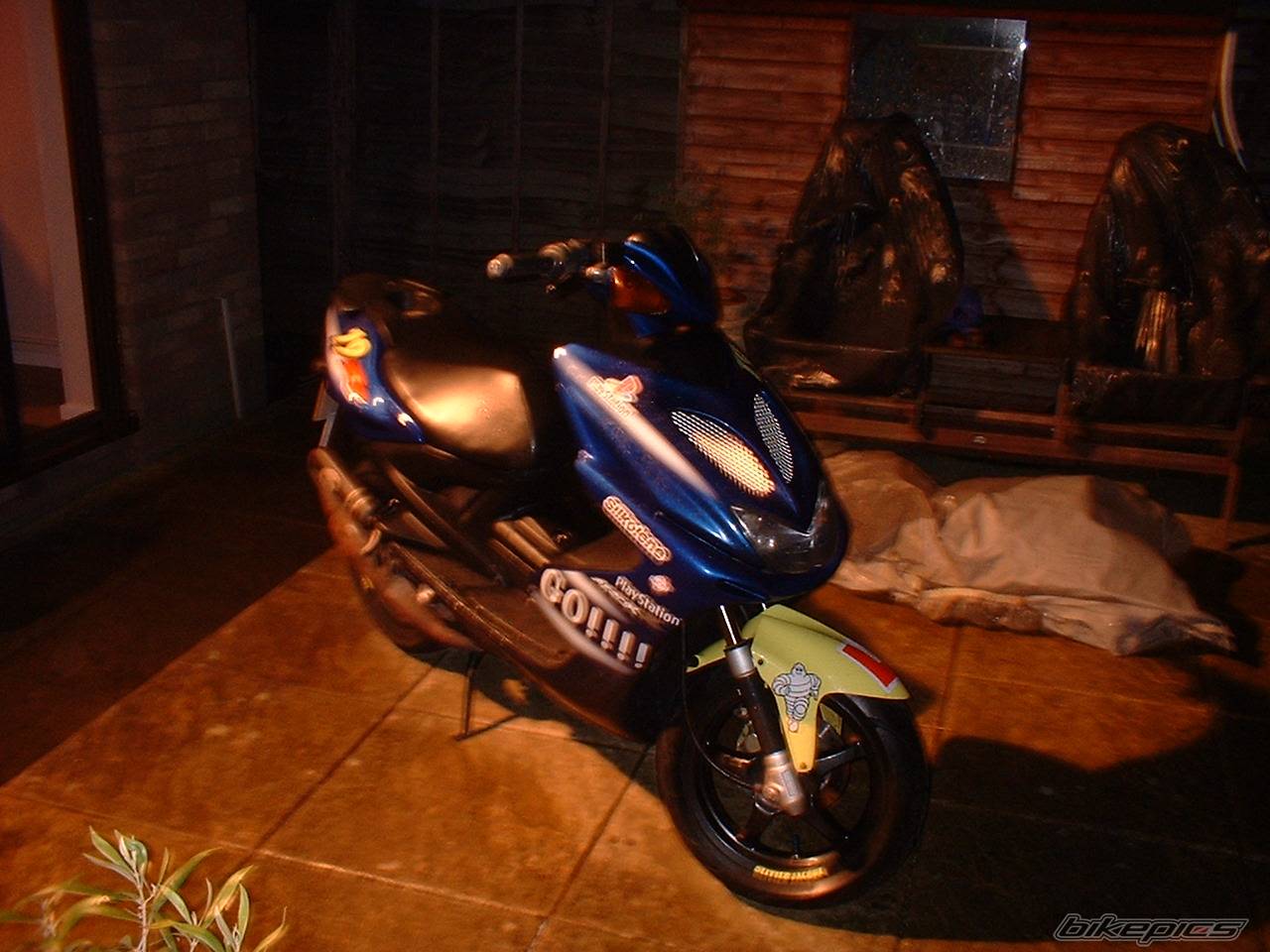 Photo 309734