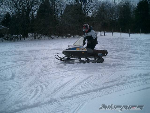 Photo 309812