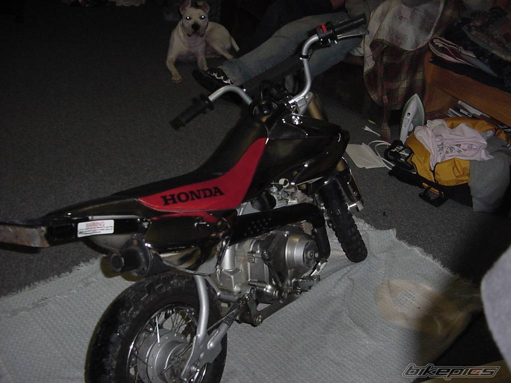 Bike Photo 309813