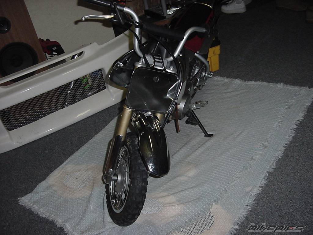 Photo 309814