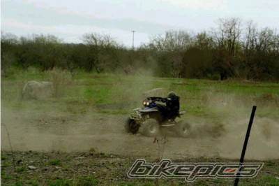 Photo 309822