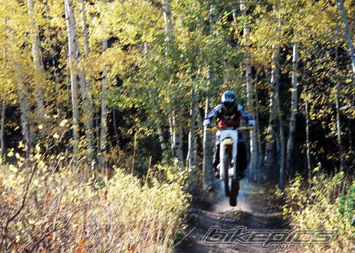 Photo 309825
