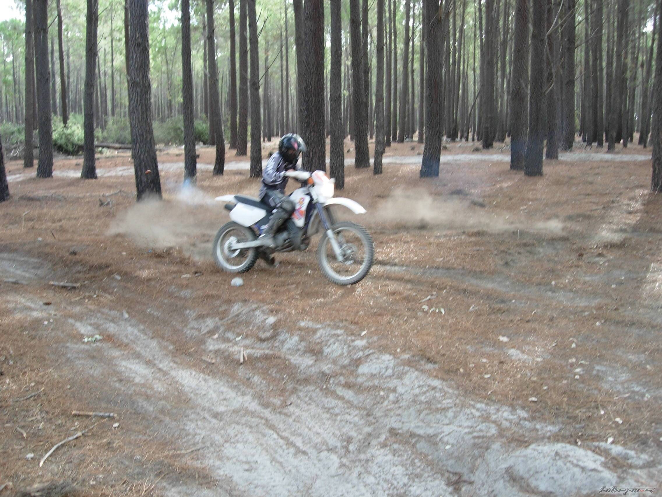 Photo 309925