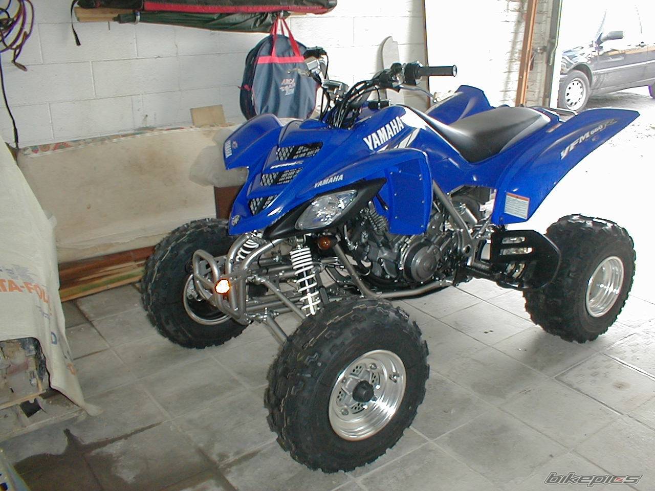 Photo 309942