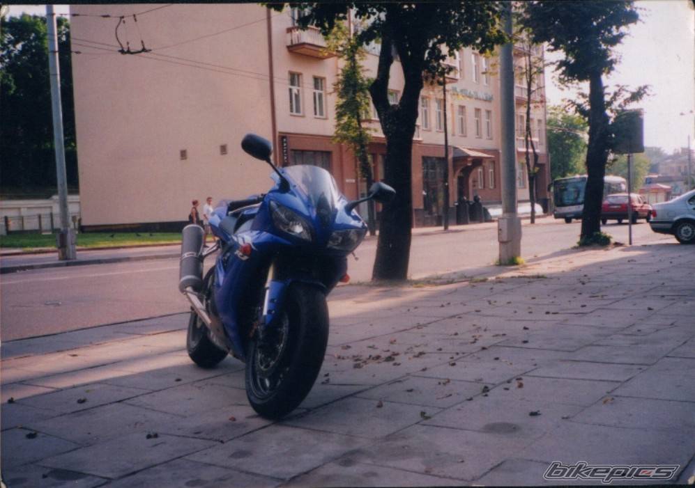 Photo 309948