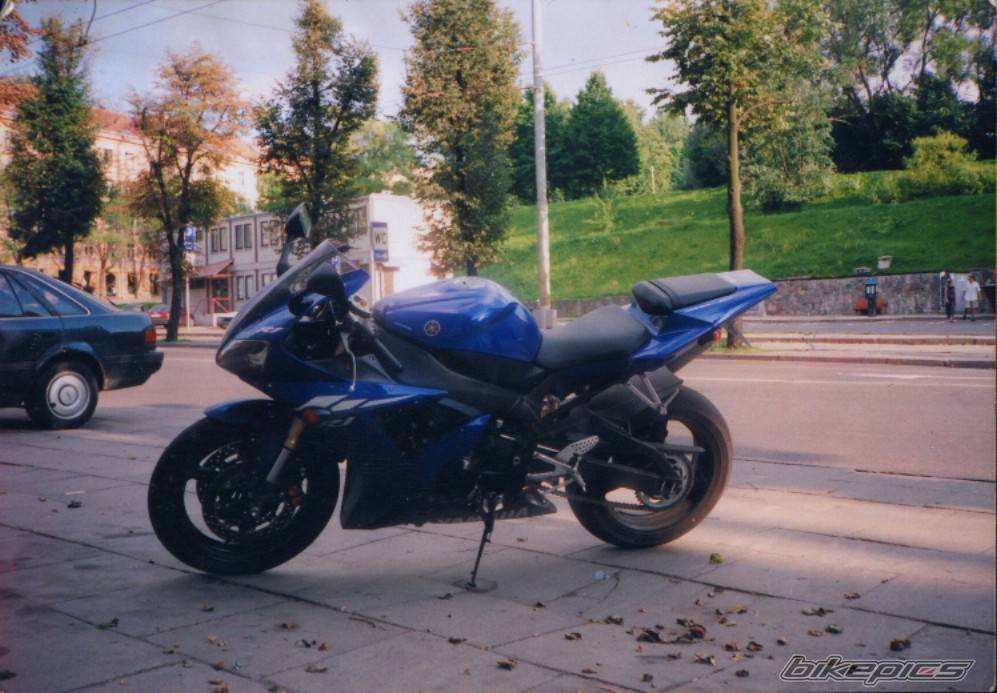 Photo 309949