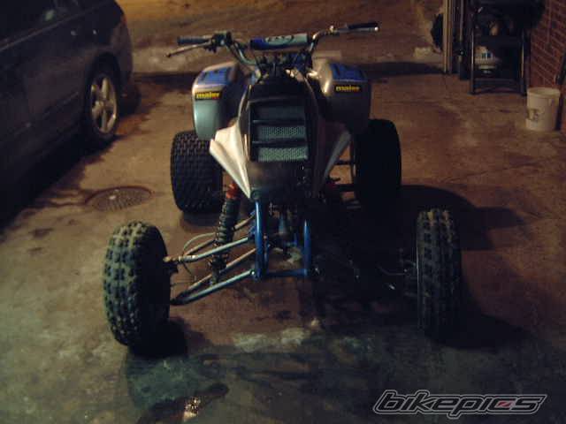 Photo 310042