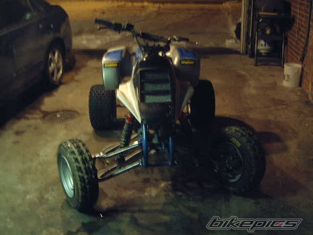 Photo 310043